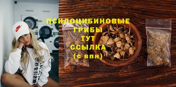 герыч Алексин