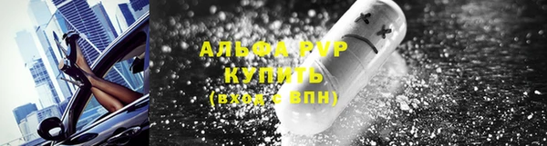 твердый Алексеевка